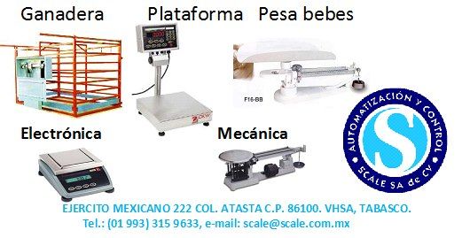 BASCULAS ELECTRONICAS